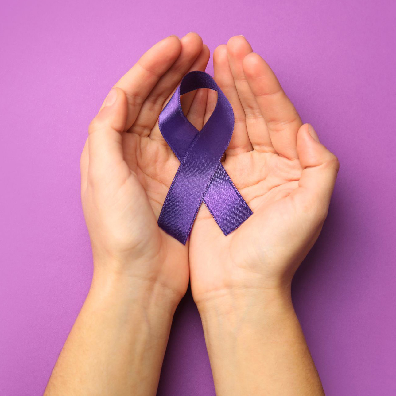 Eine lila Schleife als Symbol zur Sensibilisierung gegen häusliche Gewalt.