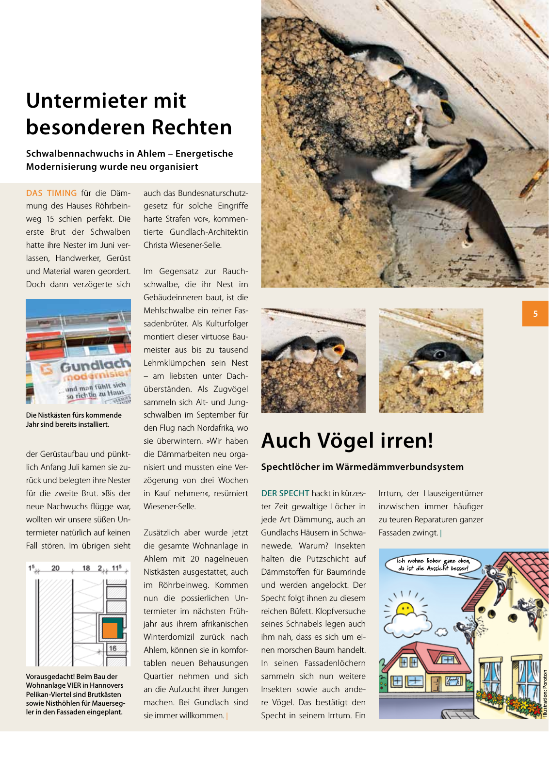 Vorschau Gundlach Nachbarn 34 Seite 5