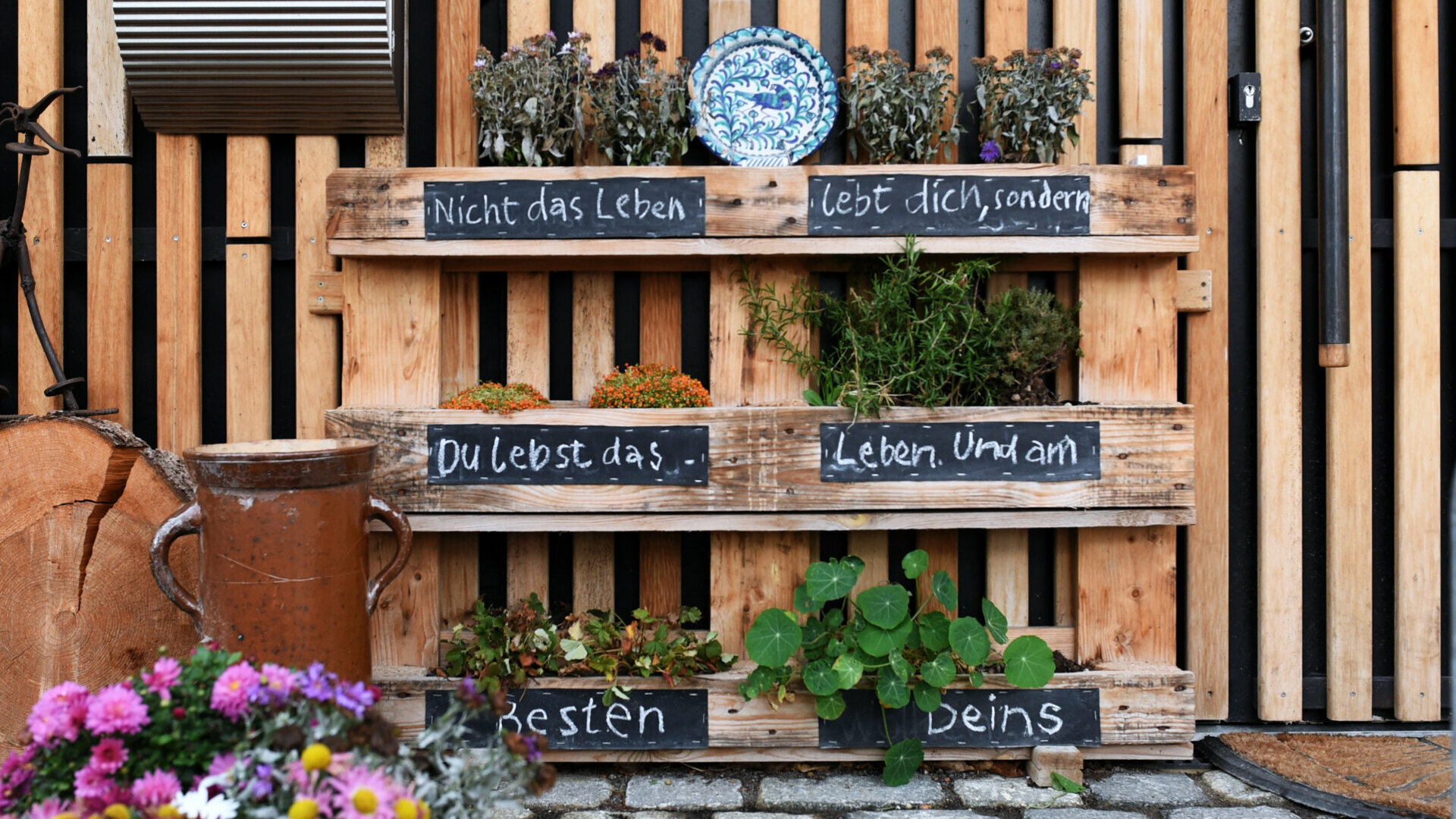 In einer alten Europalette wachsen am Recyclinghaus Kräuter.