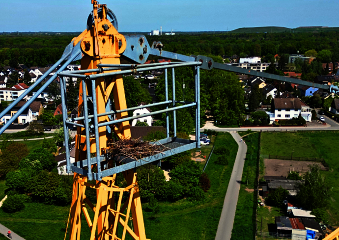 Das Nest im Baukran.