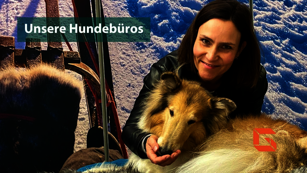 Unsere Hundebüros bei Gundlach in Hannover_Roomtour