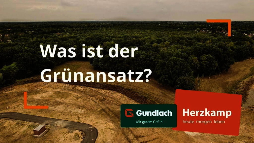 Grünansatz im Herzkamp - Hannover