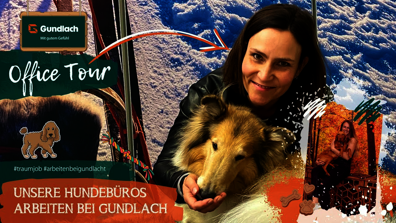 Unsere Hundebüros | Office Tour | Arbeiten bei Gundlach