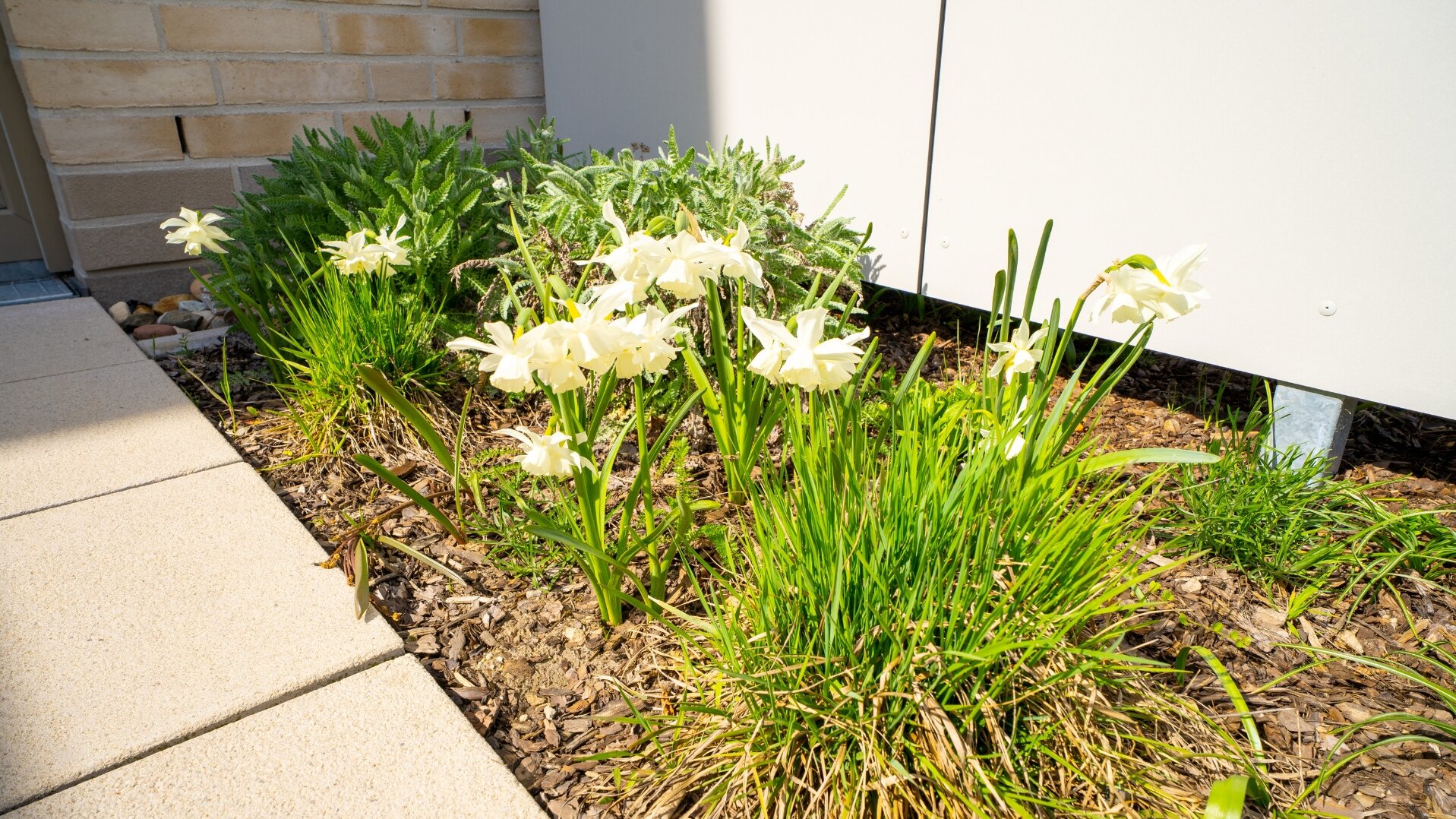 Bepflanzung_Reihenhaus kaufen in Hannover-Misburg_Neubauimmobilie vom Gundlach Bauträger