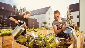 Teilerhöfe_Urban Gardening_Wohnungsunternehmen Gundlach