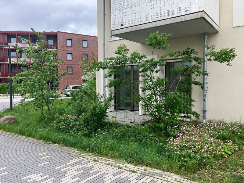 Außenbereich mit Terrasse 