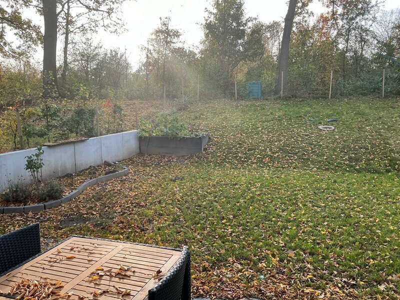 BEISPIEL Mietergarten