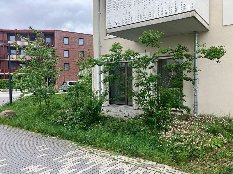 Außenbereich mit Terrasse 